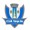BC TARGU MURES Team Logo